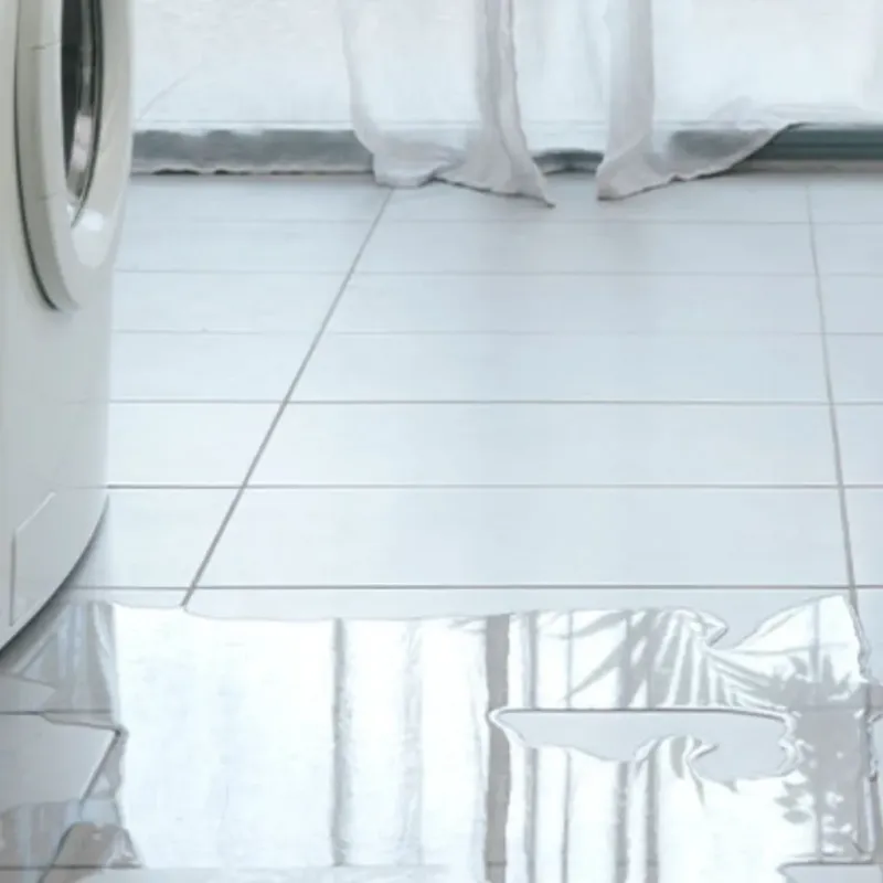 Appliance Leak Cleanup in Williamsburg, PA