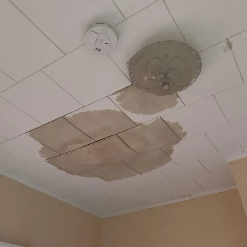 Ceiling Water Damage Repair in Williamsburg, PA