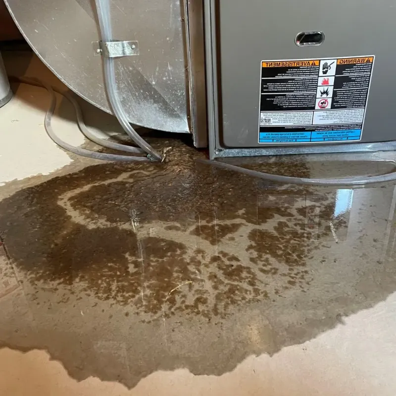 Pipe Burst and Leak Restoration in Williamsburg, PA