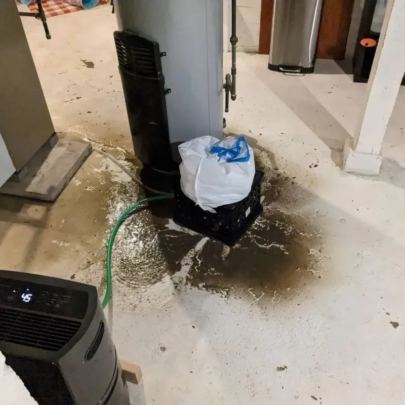 Sewage Backup Cleanup Service in Williamsburg, PA